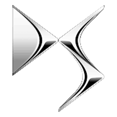 دی اس